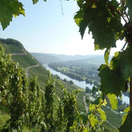 In Danma Mit Gemeinschaftskueche Laubach (Rhineland-Palatinate)