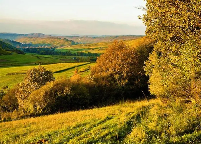In Danma Mit Gemeinschaftskueche Laubach (Rhineland-Palatinate)