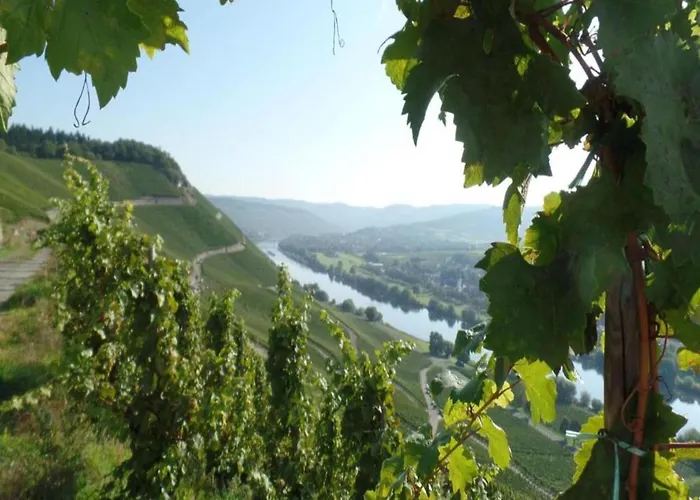 In Danma Mit Gemeinschaftskueche Laubach (Rhineland-Palatinate)